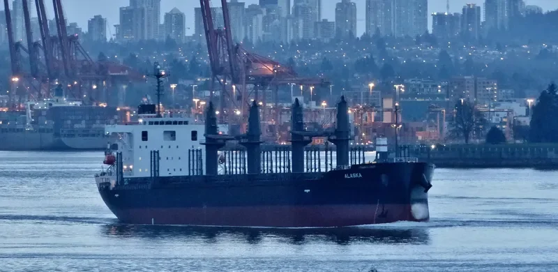 ALASKA Bulk Carrier IMO 9773480 photo 2
