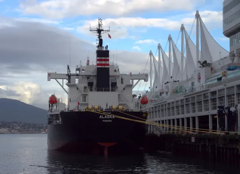 ALASKA Bulk Carrier IMO 9773480 photo 3