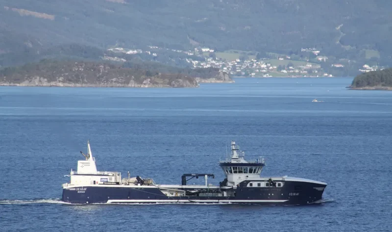 SEIHAV General Cargo IMO 9773600 photo 2