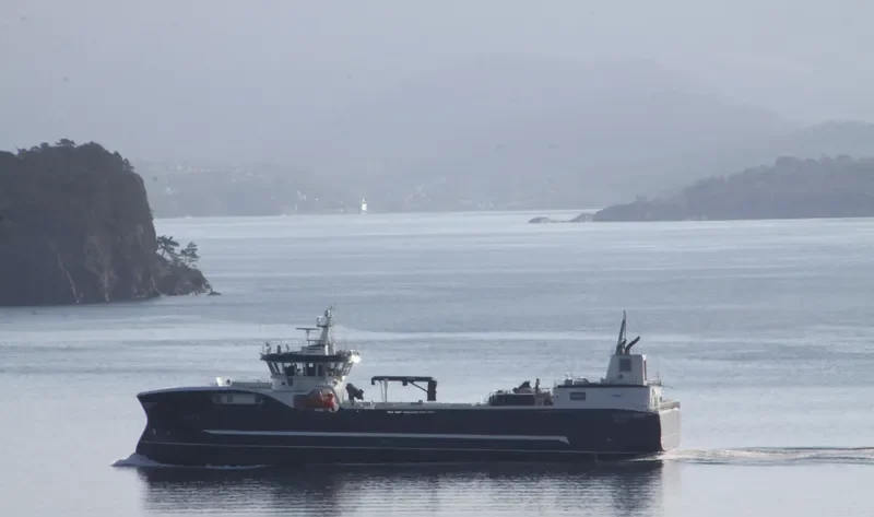 SEIHAV General Cargo IMO 9773600 photo 3