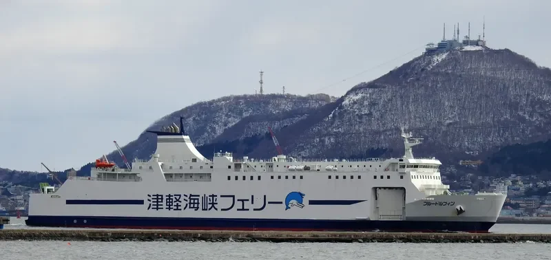 BLUE DOLPHIN Ro-Ro IMO 9773818