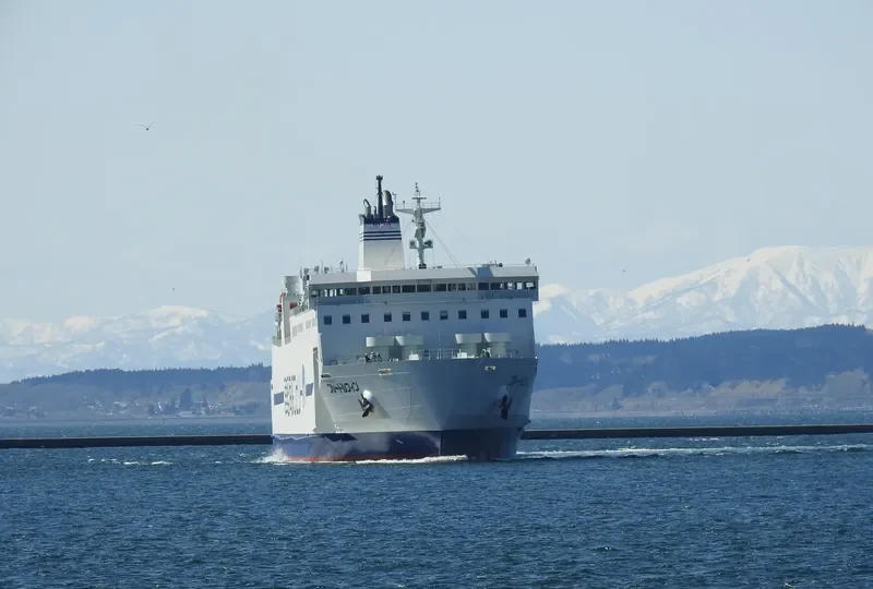 BLUE DOLPHIN Ro-Ro IMO 9773818 photo 2
