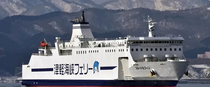 BLUE DOLPHIN Ro-Ro IMO 9773818 photo 3