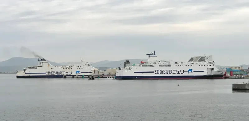 BLUE DOLPHIN Ro-Ro IMO 9773818 photo 4