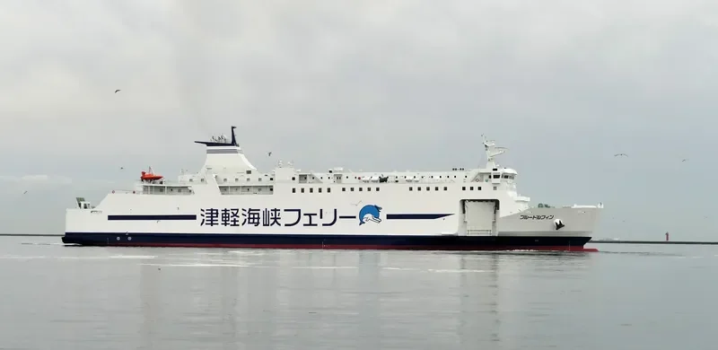 BLUE DOLPHIN Ro-Ro IMO 9773818 photo 6