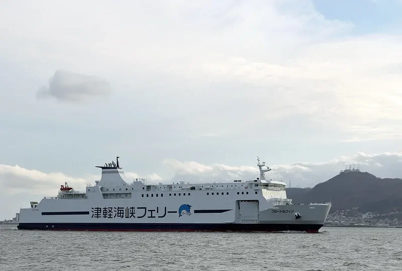 BLUE DOLPHIN Ro-Ro IMO 9773818 photo 10