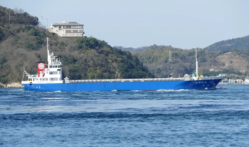 SHINTAIEI MARU General Cargo IMO 9774018