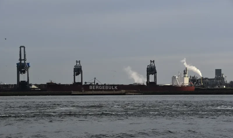 BERGE SARSTEIN Bulk Carrier IMO 9774367 photo 5