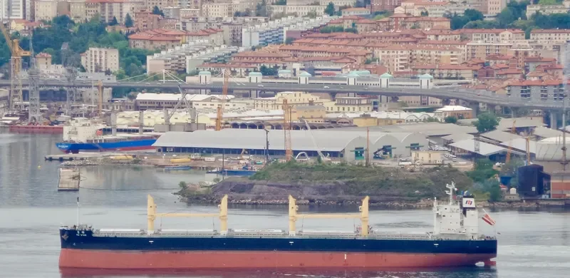 TAI STAR Bulk Carrier IMO 9774460 photo 2