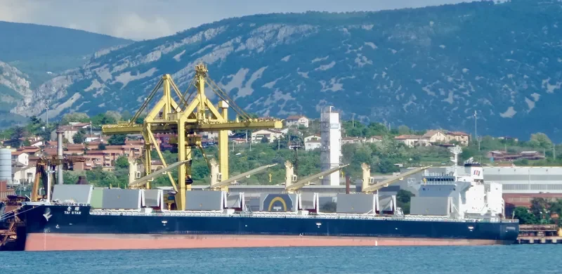 TAI STAR Bulk Carrier IMO 9774460 photo 5