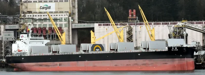 TAI STAR Bulk Carrier IMO 9774460 photo 6
