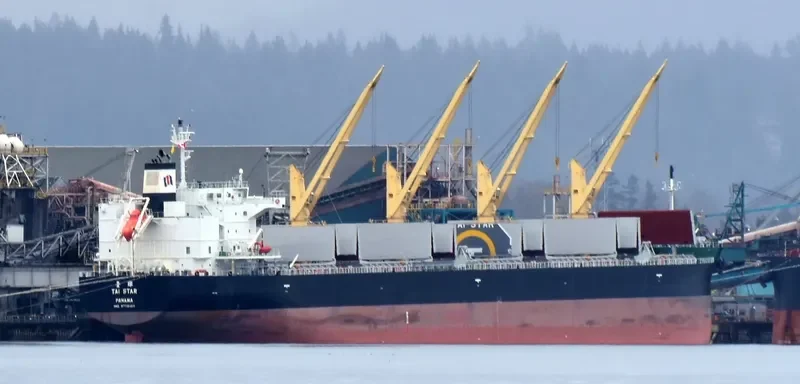 TAI STAR Bulk Carrier IMO 9774460 photo 7