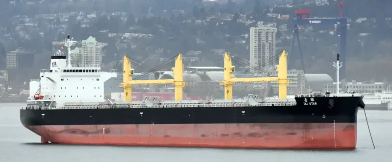 TAI STAR Bulk Carrier IMO 9774460 photo 8