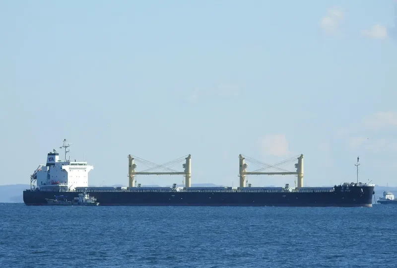 TAI STAR Bulk Carrier IMO 9774460 photo 9