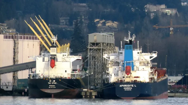 TAI STAR Bulk Carrier IMO 9774460 photo 10