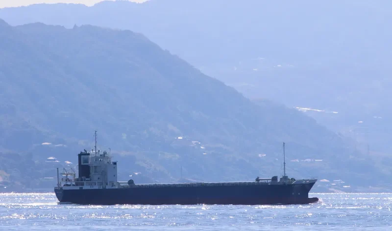 MITSUHIRO 8 General Cargo IMO 9774757 photo 6