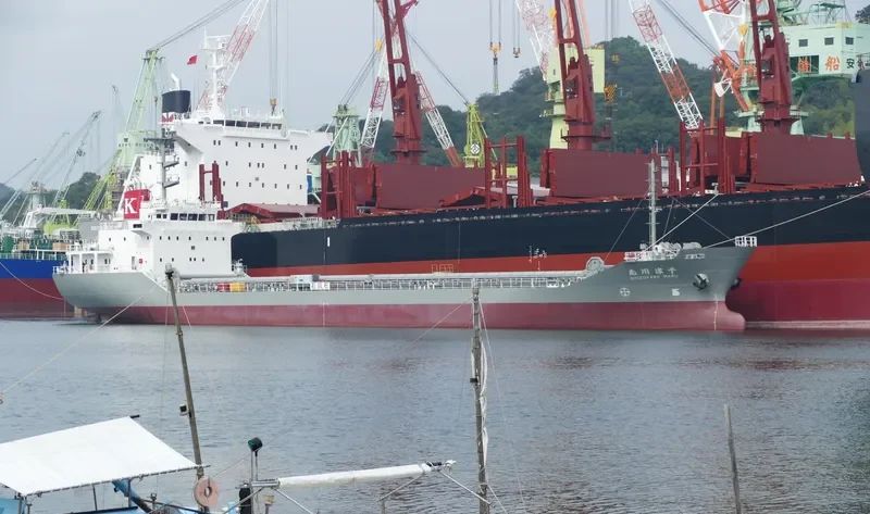 CHIZUKAWA MARU Bulk Carrier IMO 9775098 photo 3