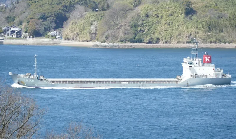 CHIZUKAWA MARU Bulk Carrier IMO 9775098 photo 5
