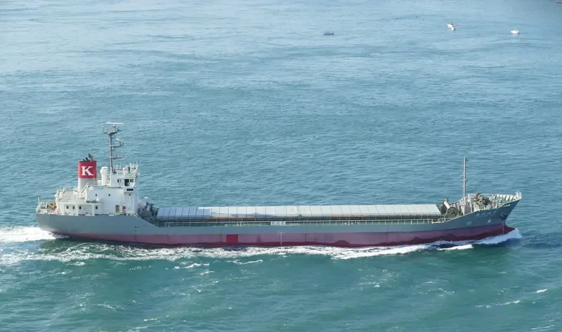 CHIZUKAWA MARU Bulk Carrier IMO 9775098 photo 7