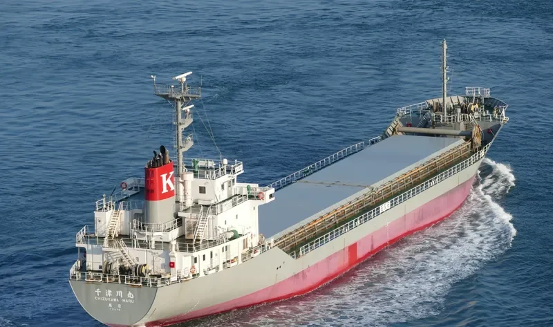 CHIZUKAWA MARU Bulk Carrier IMO 9775098 photo 8