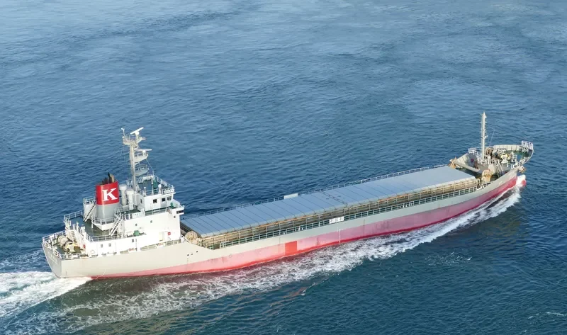 CHIZUKAWA MARU Bulk Carrier IMO 9775098 photo 9