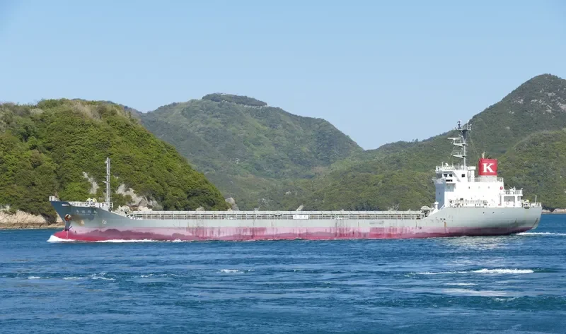 CHIZUKAWA MARU Bulk Carrier IMO 9775098 photo 10
