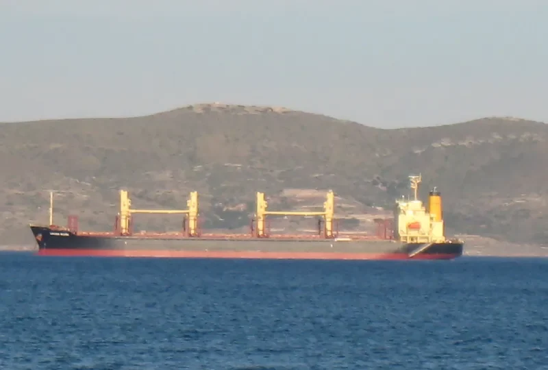 UNION MARK Bulk Carrier IMO 9775153 photo 4