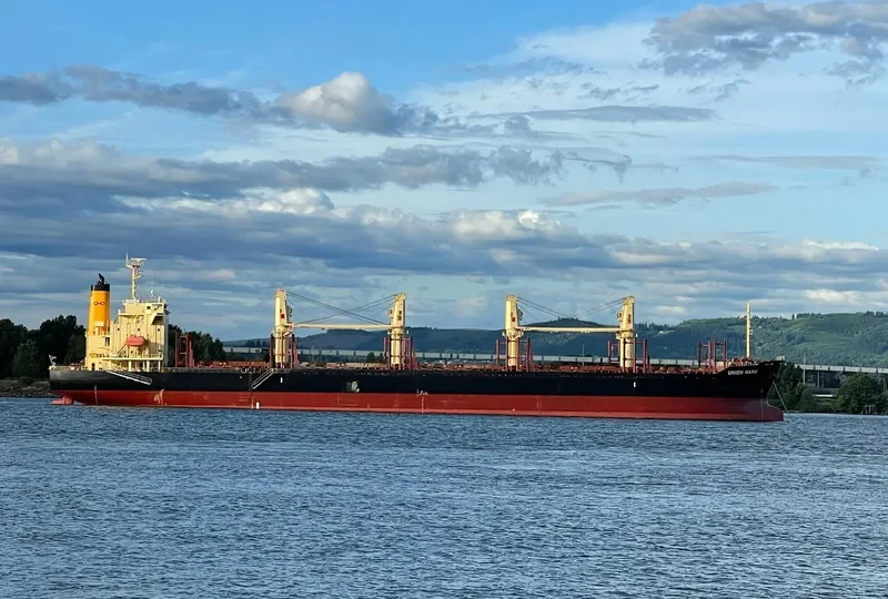 UNION MARK Bulk Carrier IMO 9775153 photo 8