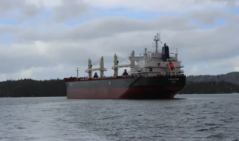 LAUSANNE Bulk Carrier IMO 9775385