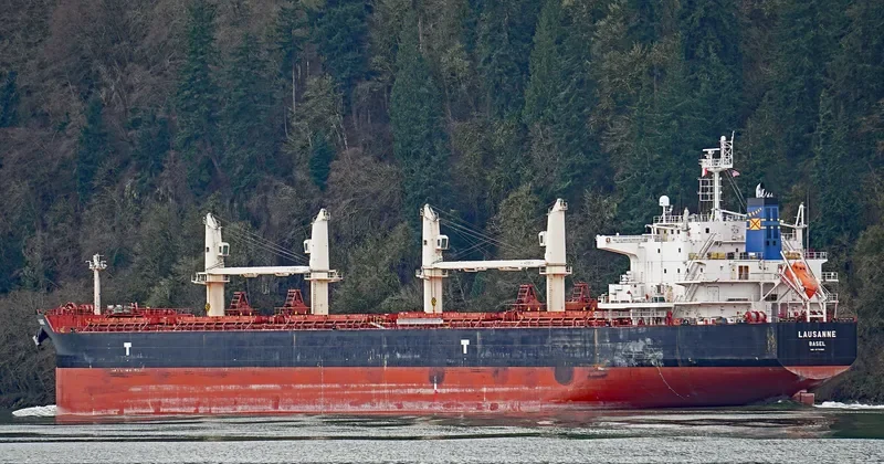 LAUSANNE Bulk Carrier IMO 9775385 photo 2