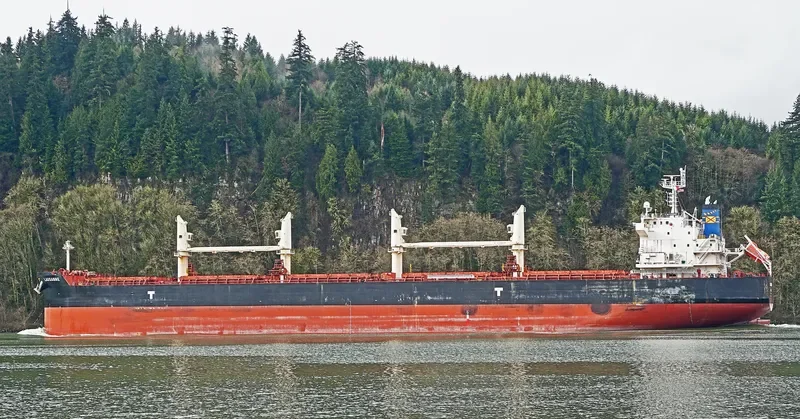 LAUSANNE Bulk Carrier IMO 9775385 photo 3