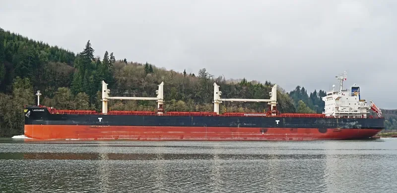 LAUSANNE Bulk Carrier IMO 9775385 photo 4