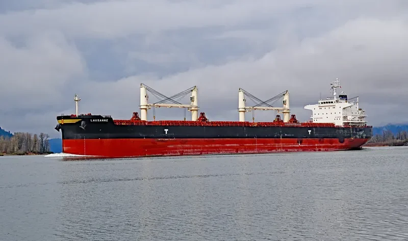 LAUSANNE Bulk Carrier IMO 9775385 photo 5