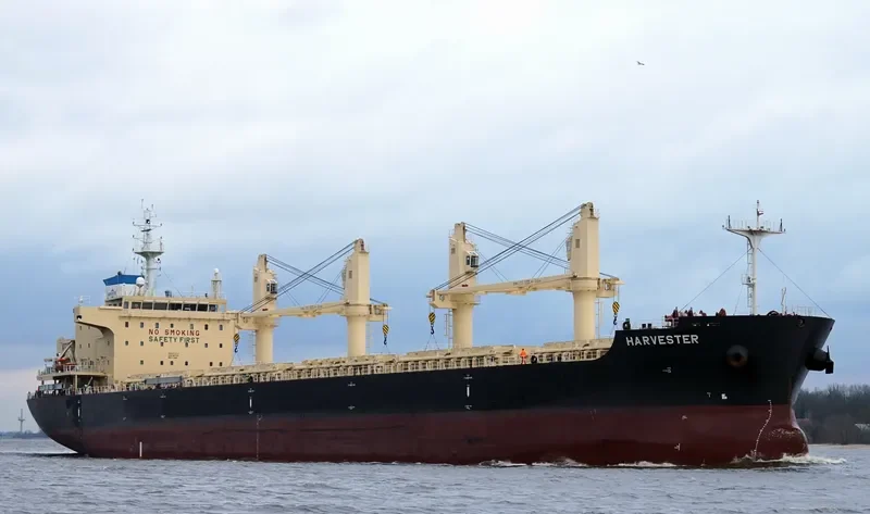 HARVESTER Bulk Carrier IMO 9777711 photo 4
