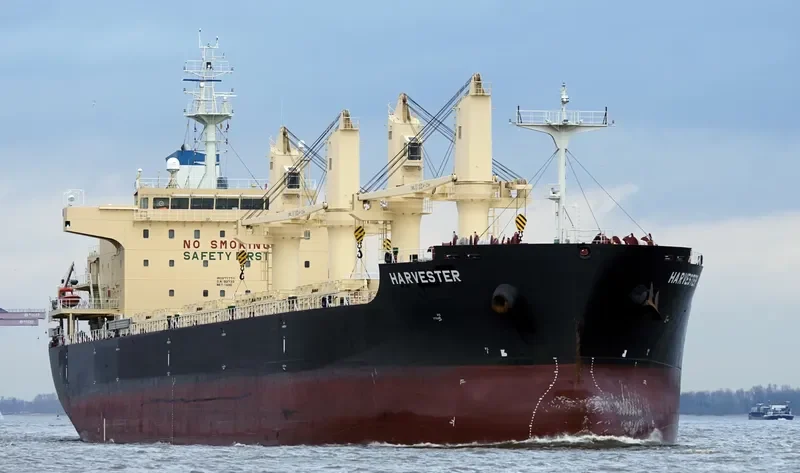 HARVESTER Bulk Carrier IMO 9777711 photo 5