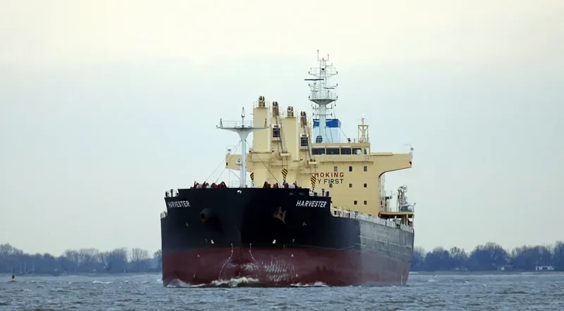 HARVESTER Bulk Carrier IMO 9777711 photo 6
