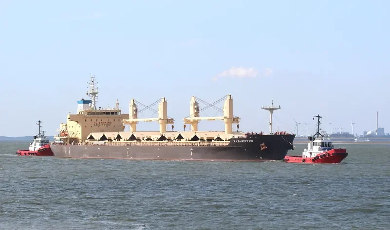 HARVESTER Bulk Carrier IMO 9777711 photo 9