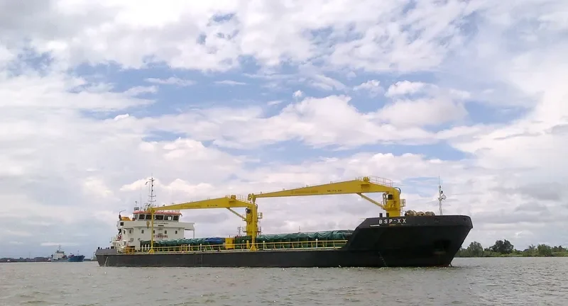 BSP XX General Cargo IMO 9778258 photo 2