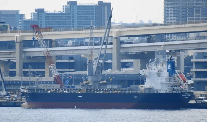 COSMIC TIGER General Cargo IMO 9780287