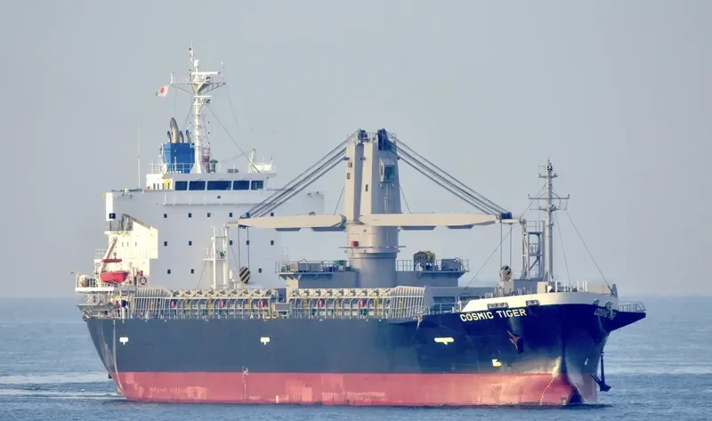 COSMIC TIGER General Cargo IMO 9780287 photo 2