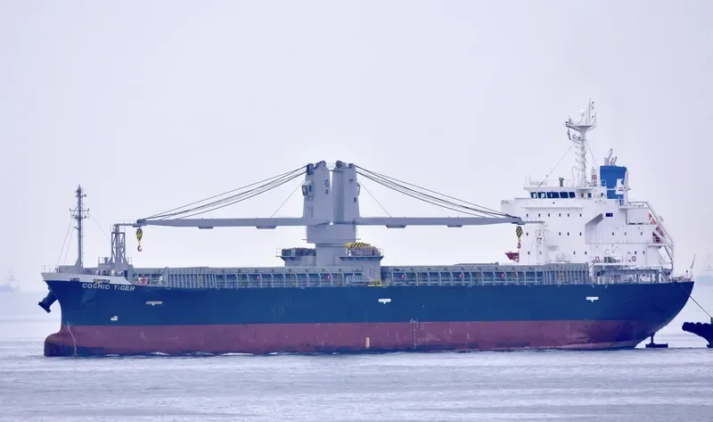 COSMIC TIGER General Cargo IMO 9780287 photo 3