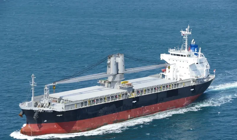 COSMIC TIGER General Cargo IMO 9780287 photo 5