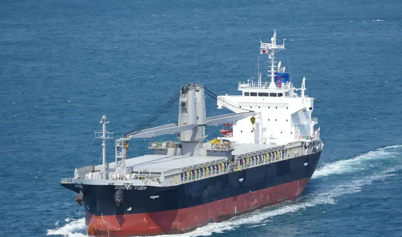 COSMIC TIGER General Cargo IMO 9780287 photo 6