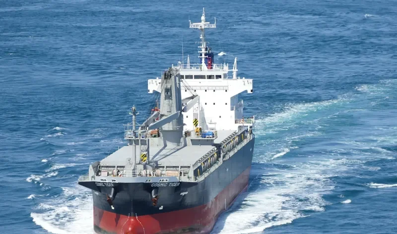 COSMIC TIGER General Cargo IMO 9780287 photo 8