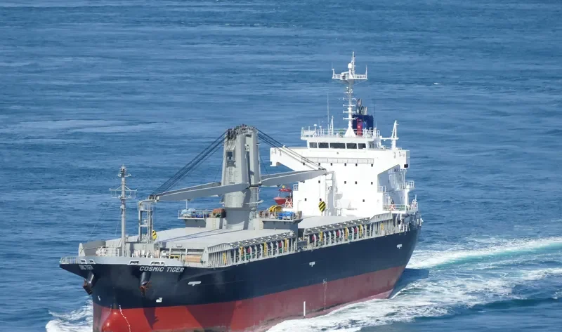 COSMIC TIGER General Cargo IMO 9780287 photo 9