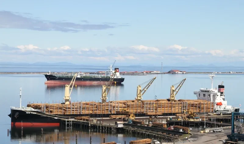 NEW FACE Bulk Carrier IMO 9780316