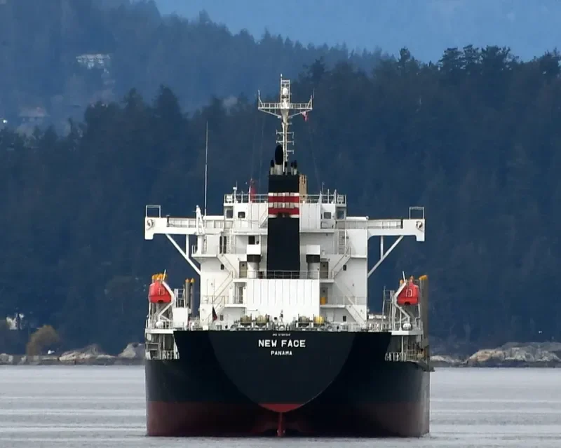 NEW FACE Bulk Carrier IMO 9780316 photo 3