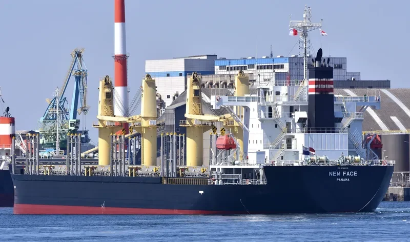 NEW FACE Bulk Carrier IMO 9780316 photo 4