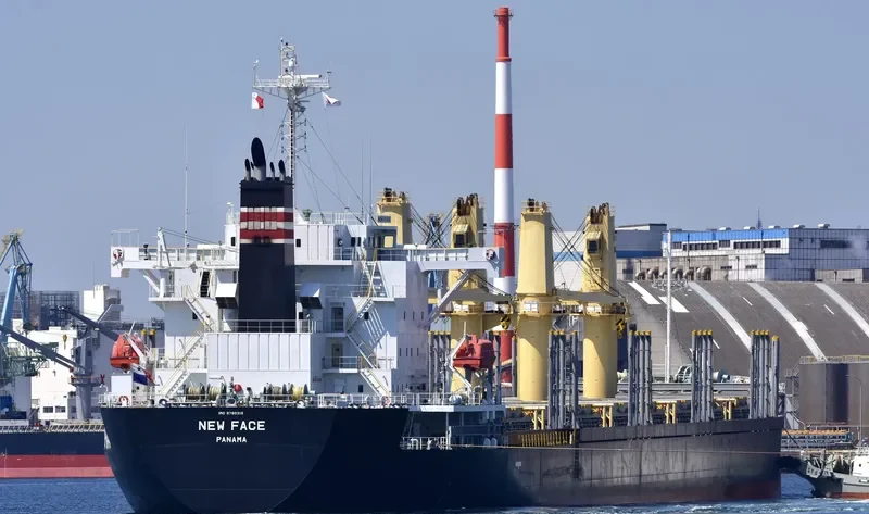 NEW FACE Bulk Carrier IMO 9780316 photo 5