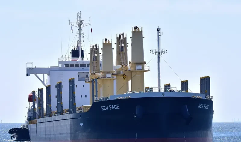 NEW FACE Bulk Carrier IMO 9780316 photo 6